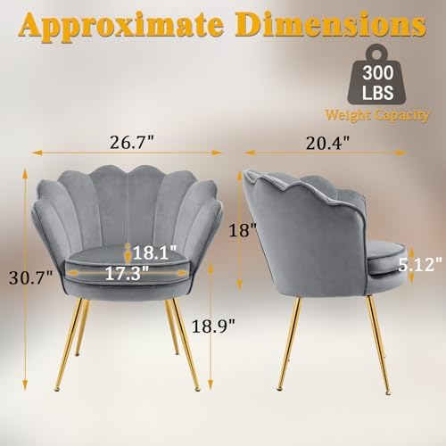 Czlolo Accent Chairs Set of 2 for Living Room, Velvet Upholstered Makeup Room...