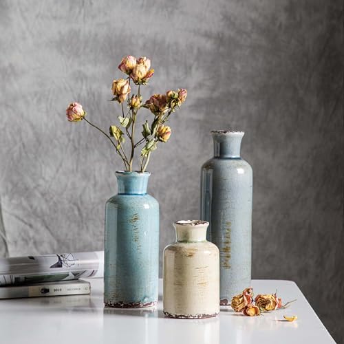 CwlwGO- Ceramic Vase Set of 3, Small Flower Vases for Home Decoration, Modern...