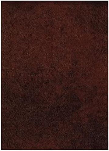 Kodiak Furniture 75" Traditional Polyester & Leather No-Flip Futon M...