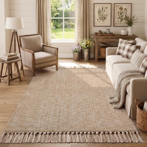 Collive 4' x 6' Hand Woven Bedroom Area Rug, Boho Indoor Outdoor Rugs