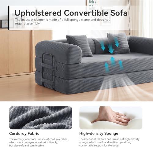 79" Convertible Sofa Bed, Boneless Couch for Living Room (Dark Gray)
