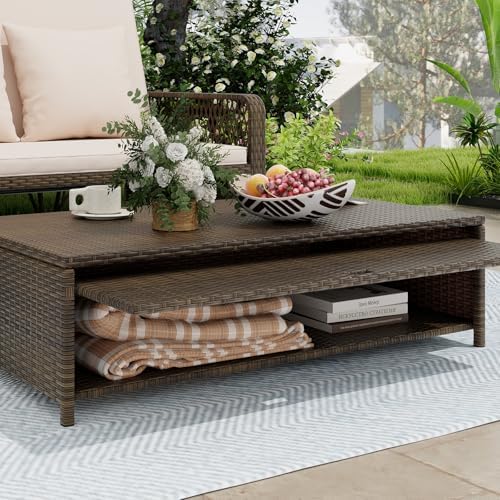 LDAILY Moccha Outdoor Daybed, PE Rattan Double Chaise Lounge w/ 4-Level Adjus...