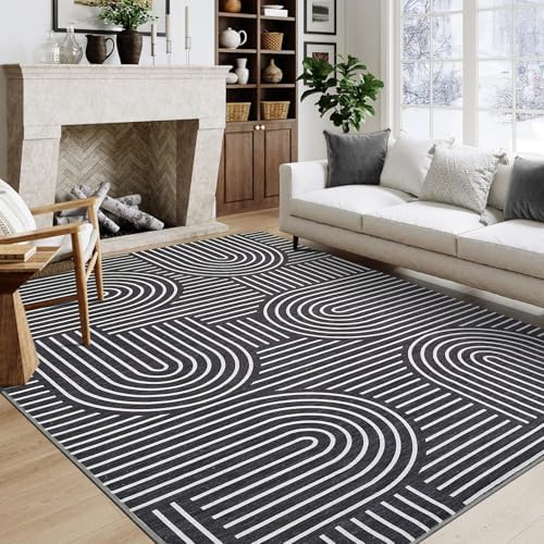 ROYHOME Modern Washable Rug 5x7 Area Rugs for Living Room Non Slip, Black