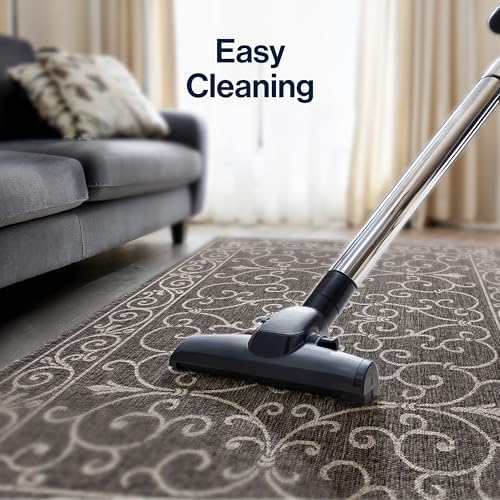 JONATHAN Y Vintage Filigree Indoor Outdoor Area Rug 8X10 Black/Gray, Charlest...