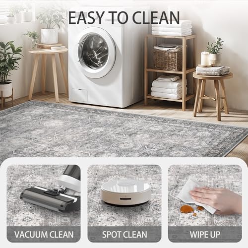 8x10 Area Rugs, Soft Non Slip Low Pile Washable Rug, Boho Modern Rug for Livi...