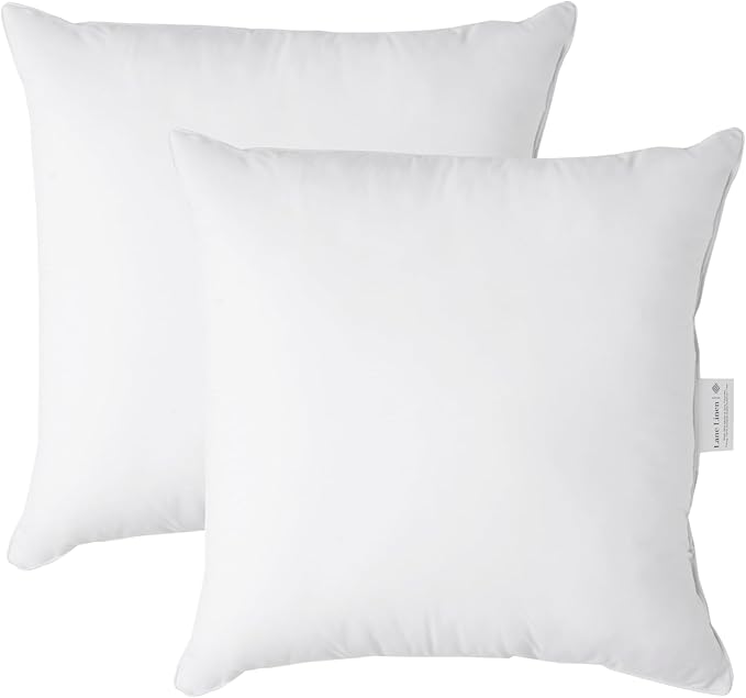 LANE LINEN 26x26 White Throw Pillow Inserts – Pack of 2 White, Fluffy by LaneLinen