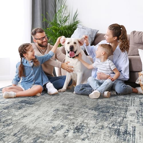 6x9 Area Rugs for Living Room Bedroom Dining Room Washable Blue Grey
