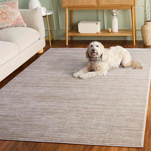 SAFAVIEH Vision Area Rug 6x9, Modern Tonal Cream VSN606F
