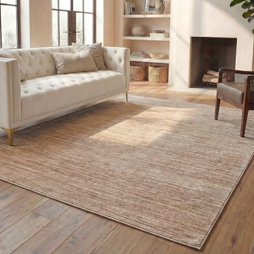 SAFAVIEH Vision Area Rug 6x9, Modern Tonal Light Brown VSN606C