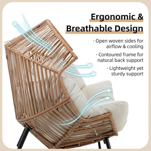 Shintenchi Double Egg Chair Outdoor Rattan Patio Chair with Cushion, Oversize...