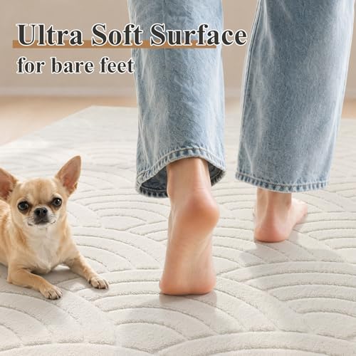SHACOS Soft Fluffy Arch Waves Pattern High-Low Textured Area Rug 8'x10'