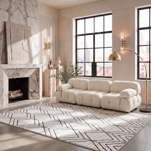 SAFAVIEH Adirondack Area Rug 9'x12', Modern Ivory & Black ADR241A