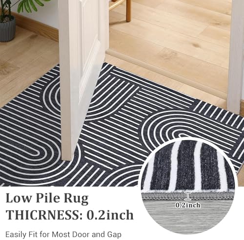 ROYHOME Modern Washable Rug 6x9 Area Rugs for Living Room Non Slip, Black