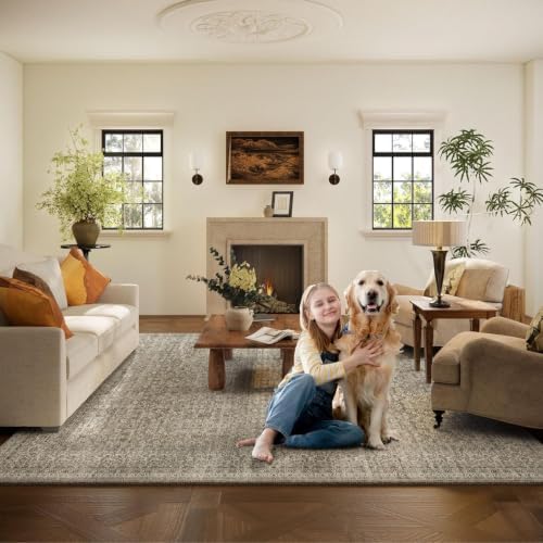 9x12 Area Rugs for Living Room: Washable Bedroom Rug Non Slip Large Carpet