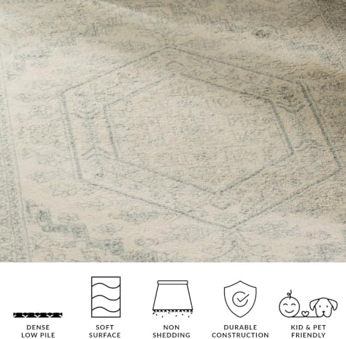 SAFAVIEH Adirondack Area Rug 8x10, Large Ivory & Slate ADR108S
