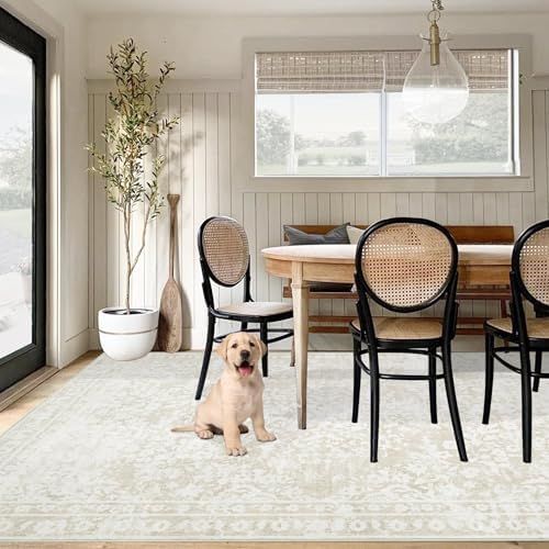 Aoyaomi Vintage Living Room Area Rug - 5x7 Large Machine Washable Boho Area R...