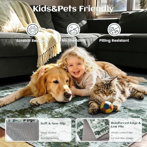 5x7 Area Rugs, Abstract Morden Soft Washable Rug, Non-Slip Low Pile Rugs for ...