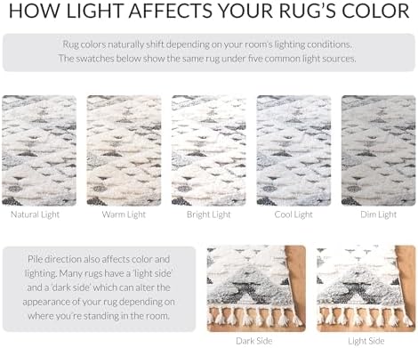 SAFAVIEH Area Rug 9x12 - Moroccan Tassel Shag Collection - Large - Ivory &amp...