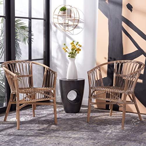 Safavieh Home Adriana Coastal Grey White Wash Rattan (Set of 2) Accent Chair ...