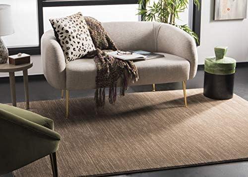 SAFAVIEH Vision Area Rug 6x9, Modern Tonal Light Brown VSN606C