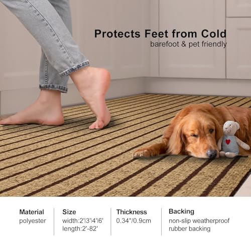 4Ft x 8Ft Outdoor Runner Rug Non Slip Carpet Runner Rubber Backing