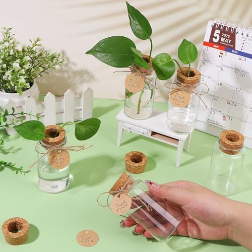 36 Packs Plant Propagation Stations with Hole Lid Clear Plastic Cultivation B...