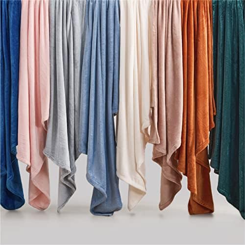 Bedsure GentleSoft Fleece Blankets Queen Size Light Grey - Bed Blanket Soft L...