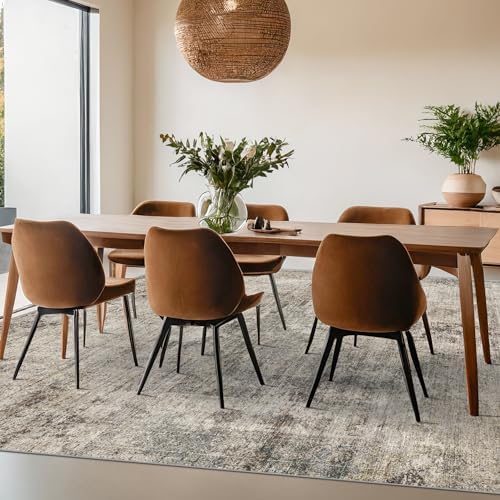 6x9 Neutral Taupe Brown Vintage Rug for Living Room, Bedroom Under Bed, Dinin...