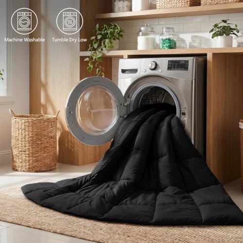 CozyLux King Size Comforter Set, 3-Piece Box-Stitched, Black