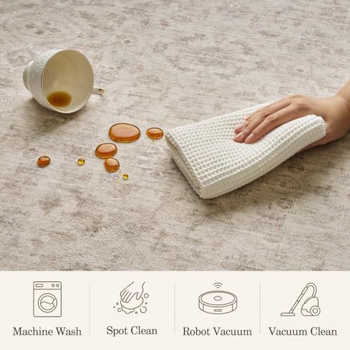 AMOAMI 8x10 Large Area Rug for Living Room, Non-Slip Machine Washable Soft Lo...