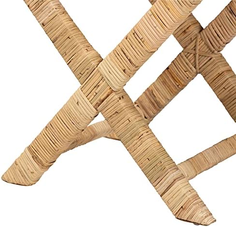 Bali & pari Farica Modern Bohemian Natural Rattan and Mahogany Accent Bench