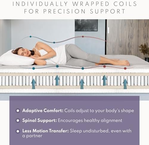 Royal Sleep Products by The Futon Factory | 10 inch Pocket Coil Futon Mattres...