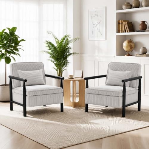 HRVEOCEI Grey Accent Chair with Storage, Mid Century Modern Arm Side Chair fo...