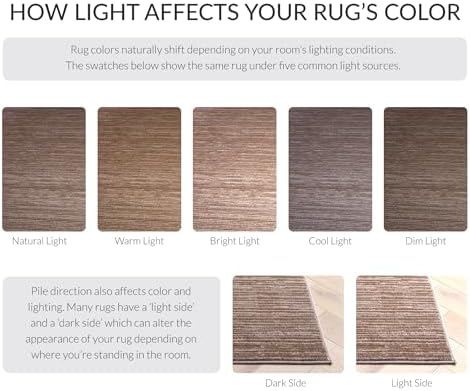 SAFAVIEH Vision Area Rug 6x9, Modern Tonal Light Brown VSN606C