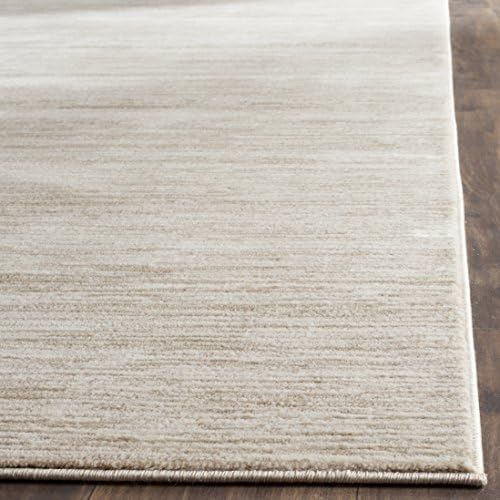 SAFAVIEH Vision Area Rug 6x9, Modern Tonal Cream VSN606F