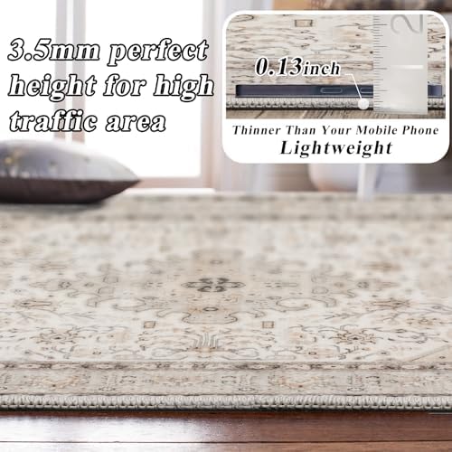 Living Room Area Rugs 10x14: Extra Large Carpet Soft Distressed Oriental