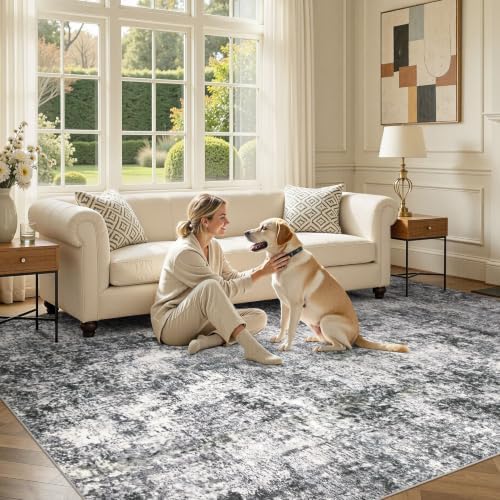 DMOYEST Area Rug Living Room Rugs 10x12 Washable Abstract Grey Carpet