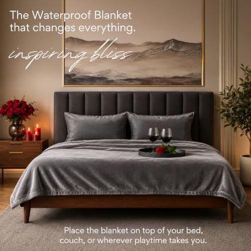 Waterproof Blanket for Bed King Size, Gray, Soft Fleece, 82x82