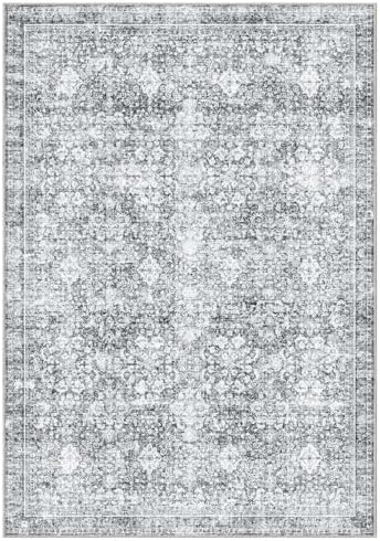 Sasttie 4x6 Area Rugs, Ultra-Soft Washable Rug for Living Room, Light Grey