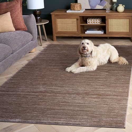 SAFAVIEH Vision Area Rug 6x9, Modern Tonal Light Brown VSN606C