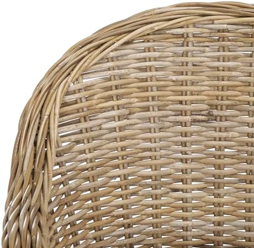 SAFAVIEH Furniture - Zane Club Chair - 17.3" Seat Height - Grey - Rattan...