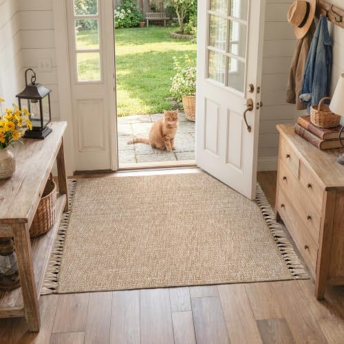 Collive 3' x 5' Woven Indoor Outdoor Porch Rug, Farmhouse Entryway Rugs