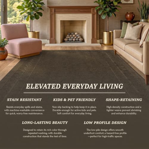 Brown Vintage Washable 8x10 Area Rug for Living Room & Bedroom, Non-Slip ...
