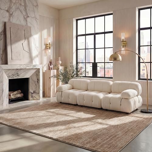 SAFAVIEH Vision Area Rug 6x9, Modern Tonal Light Brown VSN606C