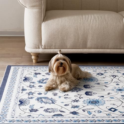 EverGrace Area Rugs for Living Room 8x10, Boho Floral Faux Wool Indoor Outdoo...