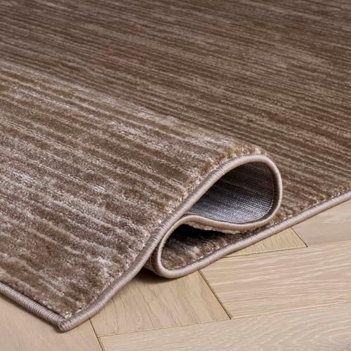 SAFAVIEH Vision Area Rug 6x9, Modern Tonal Light Brown VSN606C