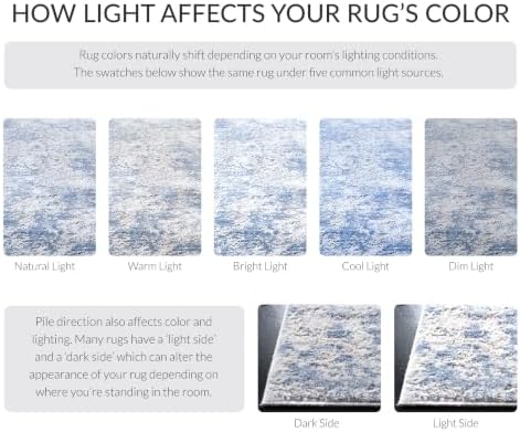 SAFAVIEH Amelia Area Rug 8'x10', Modern Grey & Blue ALA705F