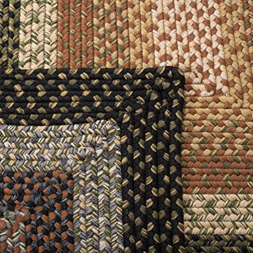 SAFAVIEH Braided Area Rug 5x8, Braided Multi BRD308A