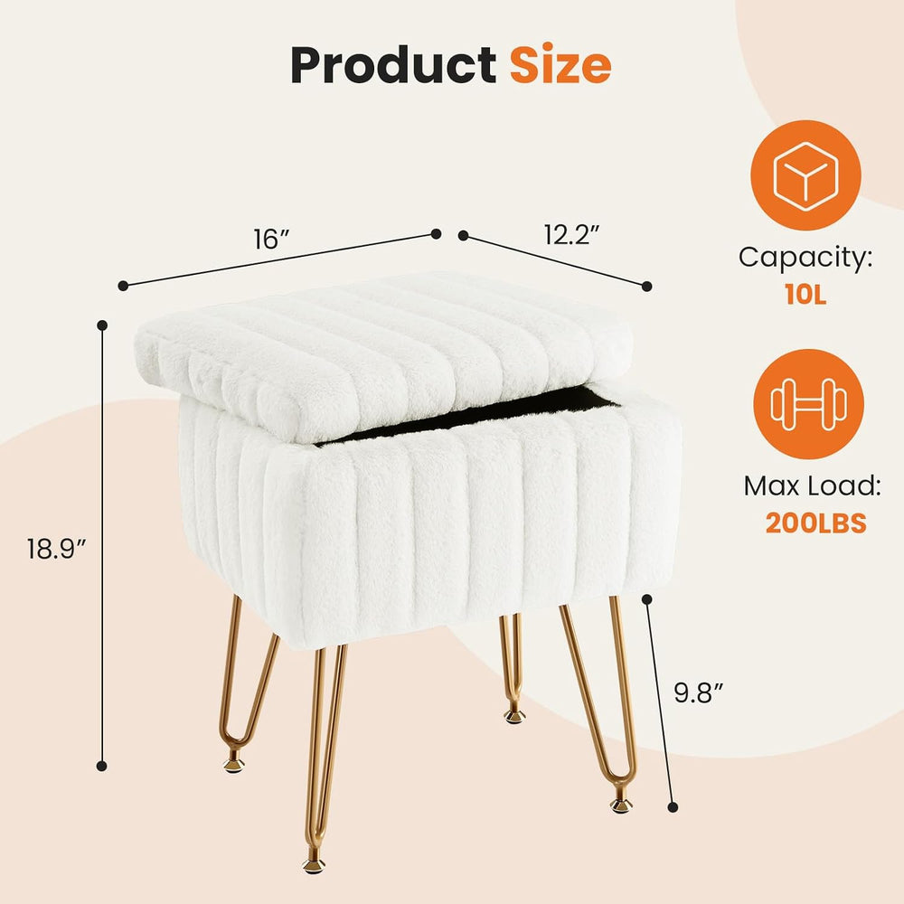 DUMOS Vanity Stool Chair, Ottoman with Storage for Living Room, Bedroom