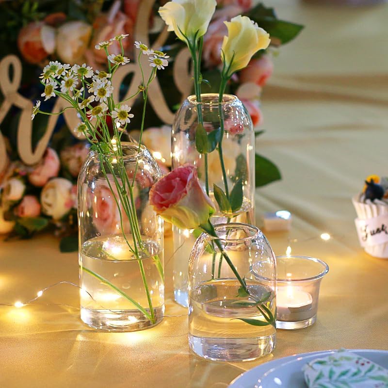 Etolies Glass Bud Vases in Bulk Set of 12, Clear Small Vases for Flowers,Mode...